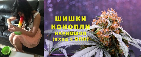 Альфа ПВП Лиски