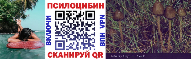 Купить  Заводоуковск  Псилоцибиновые грибы ЛСД 